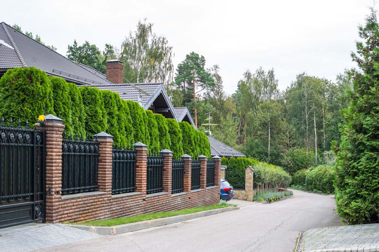 Полесье Фото 87009 Полесье Фото 88979